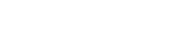 Design & Crafts Council Ireland Logo