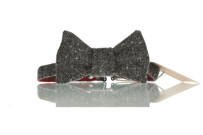 Photo of Competition for a HATA Tweed Bowtie and a Helena Malone Savage Beauty Pendant
