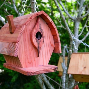 Bird House Course 