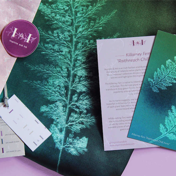 "Killarney Fern" Silk Scarf