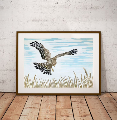 Hen Harrier