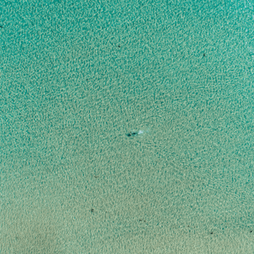 Drop In The Ocean - Red Strand
