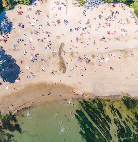 Sunny Daze - Myrtleville Beach