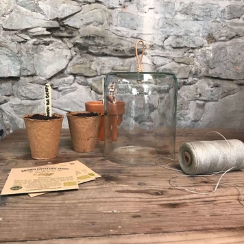 Seed Cloche