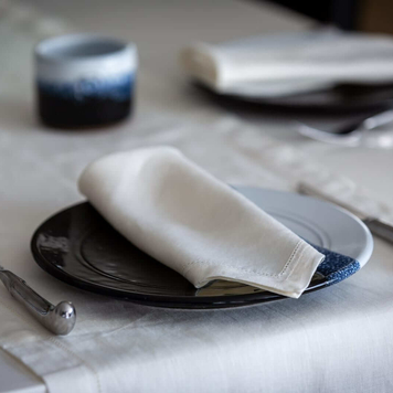 Polar White Linen Napkin 2 pack