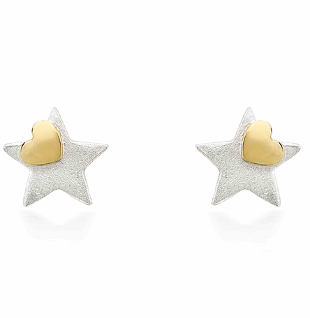 You're A Star With A Heart of Gold Earrings