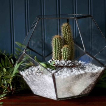 Large Dodecahedron Terrarium