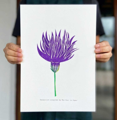 Meadow Thistle - Endangered Series Meadow Thistle - Endangered Series