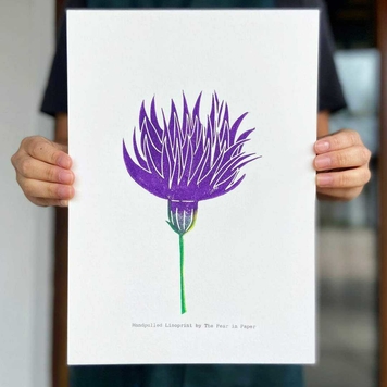 Meadow Thistle - Endangered Series