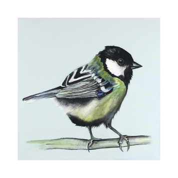 Great Tit