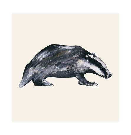 Badger