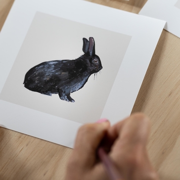 Wild Black Rabbit