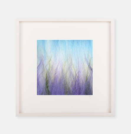 ‘Lavender’ - Silk Print Collection