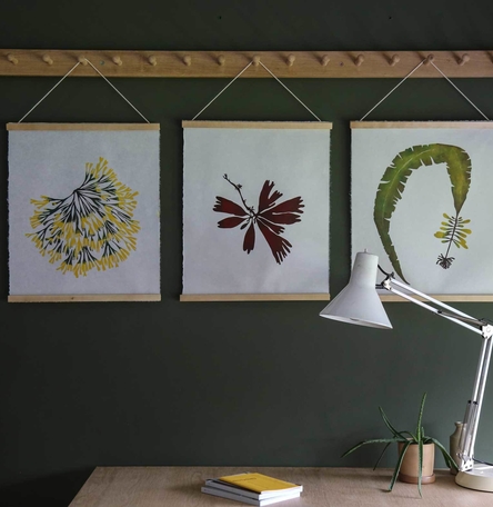 Seaweed Print Bundle Seaweed Print Bundle