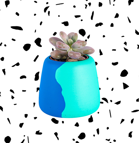 Large Blue/Green Colour Clash Planter