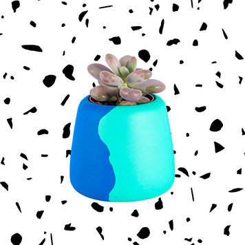 Large Blue/Green Colour Clash Planter