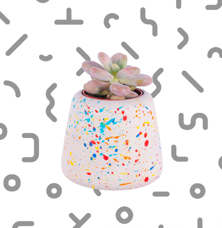 Large Sprinkles Planter