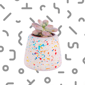 Large Sprinkles Planter