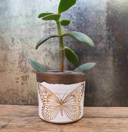 Gold Succulent Pot