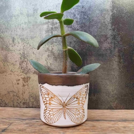 Gold Succulent Pot